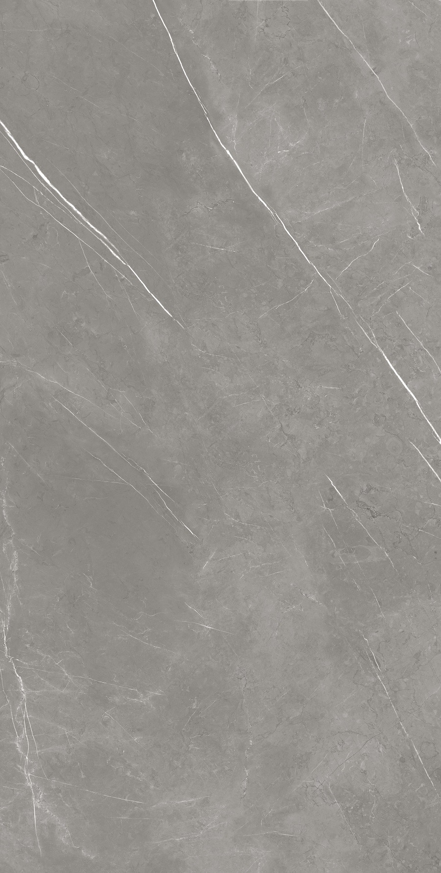 Elegant Grey 80x160